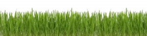 gras